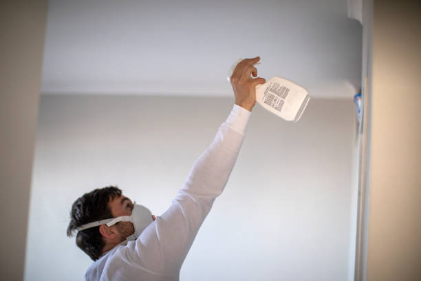 Certified Mold Removal in Marceline, MO