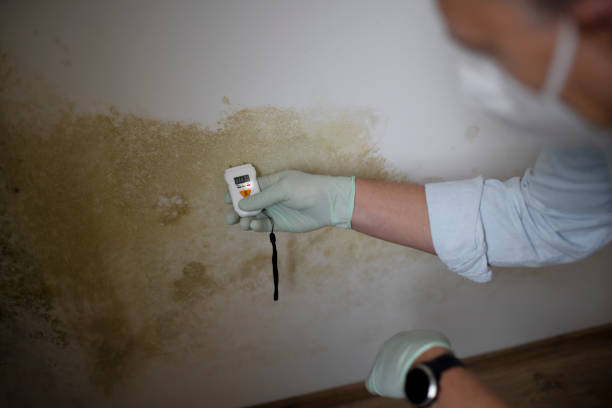 Best Mold Testing  in Marceline, MO